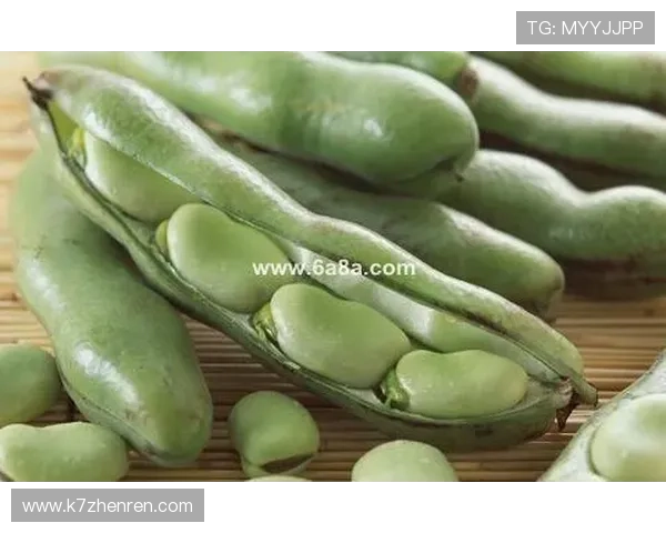 云顶端棋牌:分析云顶端棋牌的安全保障措施与防作弊系统 云顶端棋牌:分析云顶端棋牌的安全保障措施与防作弊系统