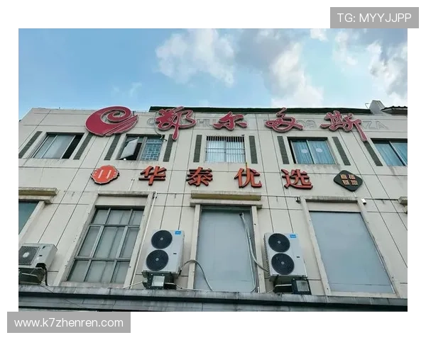 巨型老虎机的安全性与公平性分析让玩家放心畅玩无忧体验